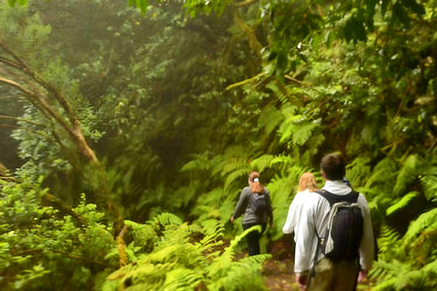 Tenerife: Begeleid pad in het Anaga PlattelandsparkRondleiding in het Engels