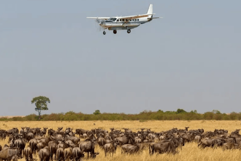 Nairobi: 3-Day Fly-In Private Maasai Mara Safari Experince
