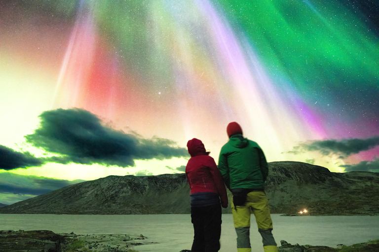 Abisko: Northern Lights Chase with Photos and Hot Drinks