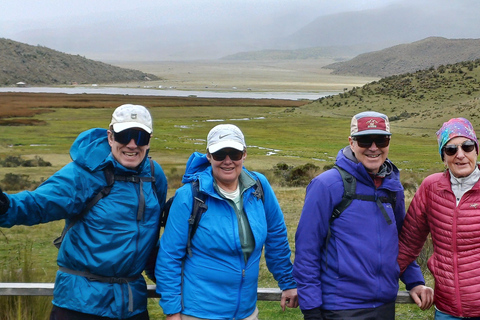 Quito: Cotopaxi Volcano Hike and Limpiopungo Lagoon Tour