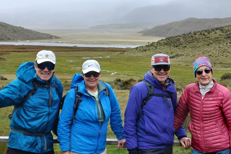 Quito: Cotopaxi Volcano Hike and Limpiopungo Lagoon Tour