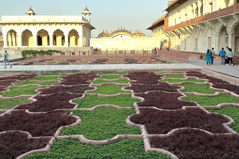 Au départ de Delhi, visite du Taj Mahal au lever du soleil avec conservation des éléphantsVoiture + chauffeur + guide + droits d&#039;entrée + déjeuner.