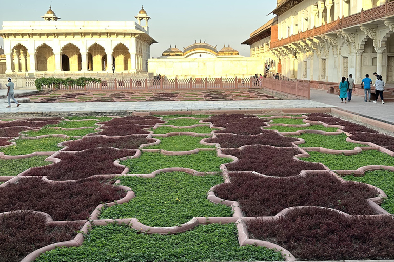 Au départ de Delhi, visite du Taj Mahal au lever du soleil avec conservation des éléphantsVoiture + chauffeur + guide + droits d&#039;entrée + déjeuner.