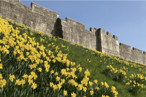 York Medieval: Complete Walking City Tour, In Spanish