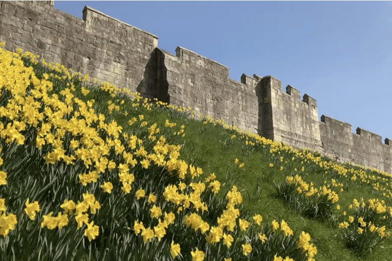 York Medieval: Complete Walking City Tour, In Spanish