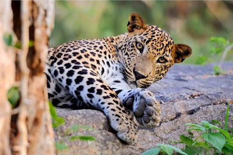 Sri Lanka: 6-Day Photography Tour with Hotel & Guide