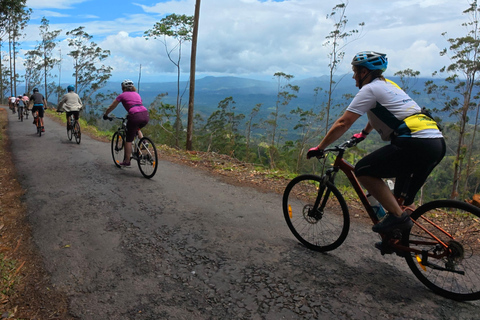 Sri Lanka 14-Day Small-Group Cycling Tour