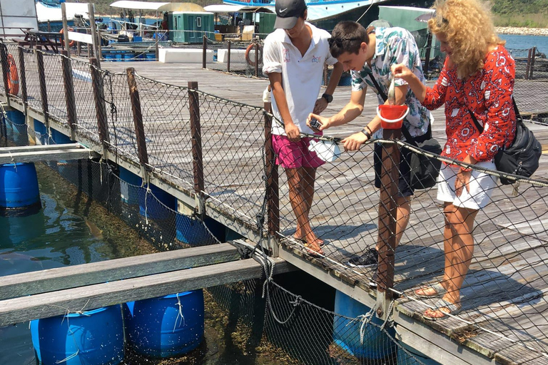 Hong Kong: Sampan Tour, Lamma Island, and Seafood Lunch