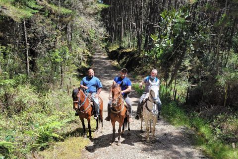 Medellin: Horseback Riding Coffee Farm Tour with Coffee Spa