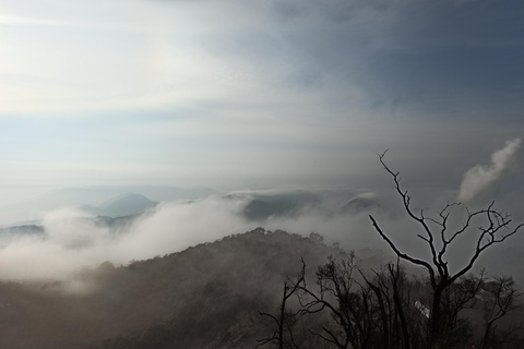 Vulcano, sorgenti calde, bagni di fango e tour del tè: tutto inclusoGiro aperto