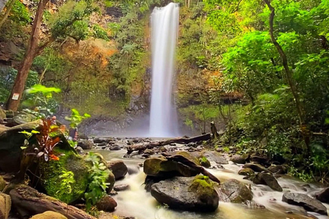 Kauai: Escursione guidata in kayak e a Secret Falls