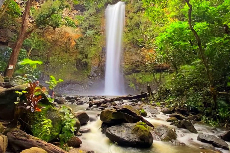 Kauai: Escursione guidata in kayak e a Secret Falls