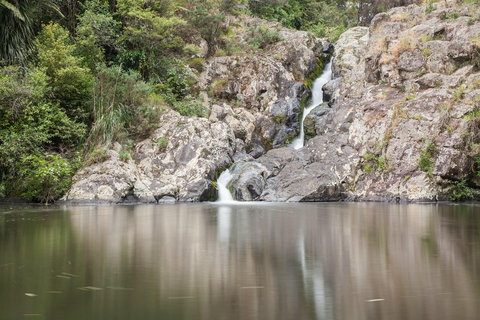 Passeio pelas cachoeiras de Auckland