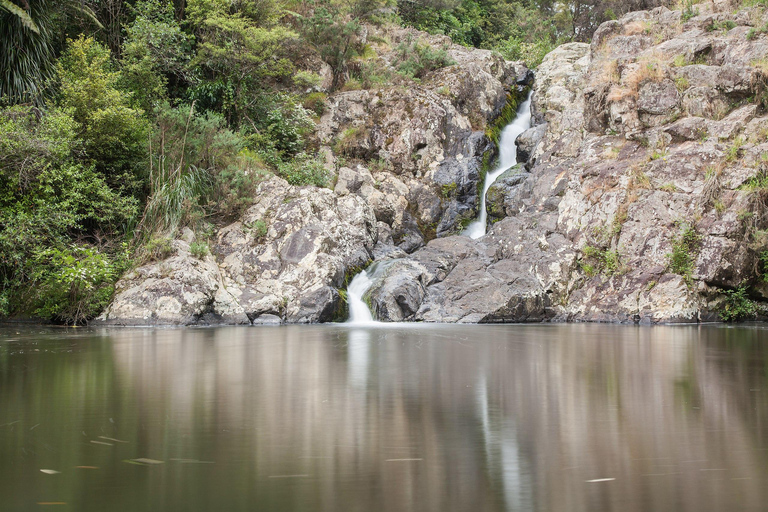 Passeio pelas cachoeiras de Auckland