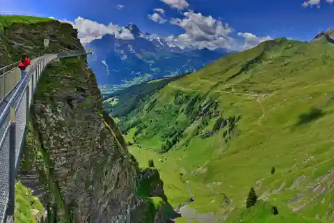 Excursion panoramique flexible et en voiture privée : De Lucerne à Grindelwald