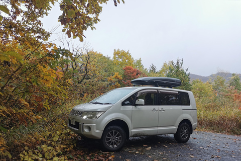长野：隐秘神社徒步导览之旅（含小吃和饮品）