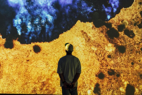 Medellin: Access Ticket to the Museum of Modern Art of Medellin