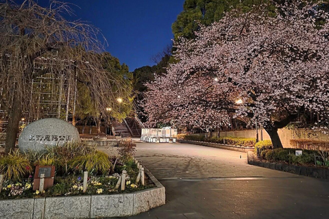 Tokyo Prestige: Luxury Chauffeur Tour with Private Guide 10 Hours Customized Tokyo Tour in Luxury Alford or Vellfire
