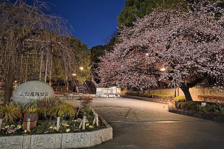 Tokyo Prestige: Luxury Chauffeur Tour with Private Guide 10 Hours Customized Tokyo Tour in Luxury Alford or Vellfire