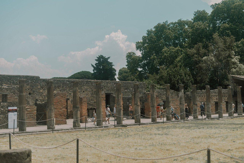 From Naples: Pompeii and Vesuvius Shuttle w/ Priority Ticket From Naples: Pompeii and Vesuvius with Skip the Line Ticket