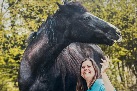 Equicoaching - experience the connection with horses in Normandy Family equicoaching: experience connection with horses - Normandy