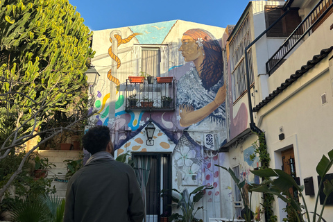 Alicante: Bike and Walking Tour with Guide