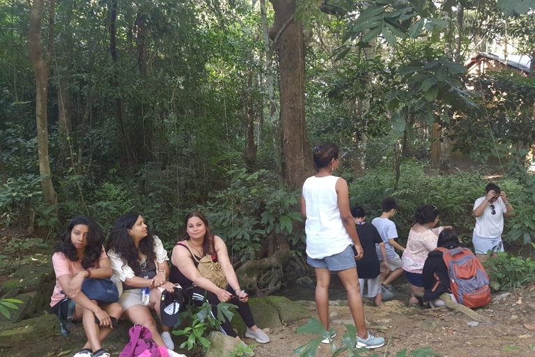 Half day Hiking Cat Ba National Park With guide
