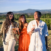Yarra Valley: Wine, Chandon & Food Tour Inc Kangaroo Safari