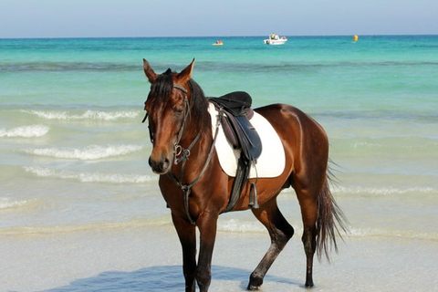Djerba: Horseback Riding Adventure with Transfer