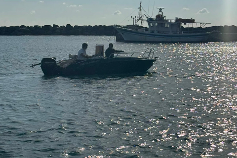 Boat Rental (Crewed) Cobra 5.0 Cobra 5.0 Half-day Day Cruise