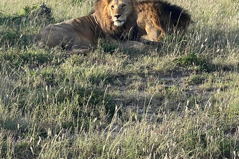 From Nairobi: Private 3-Day Masai Mara Big Five Game Drive