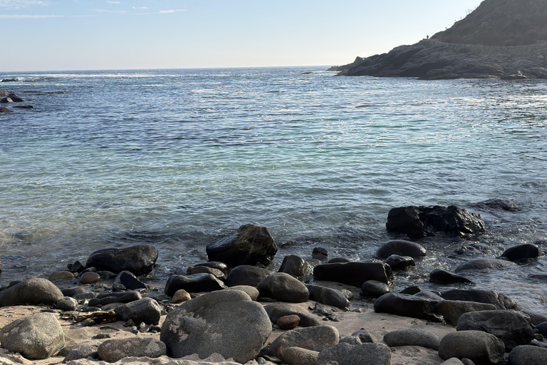 From Santiago: Papudo Horseback Ride & Penguin Watching