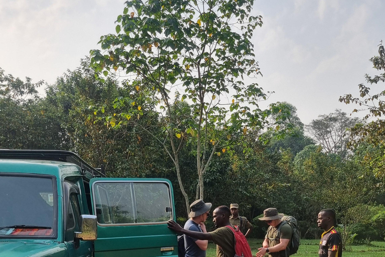 Uganda: 7-dagars gorillasafari och djurliv