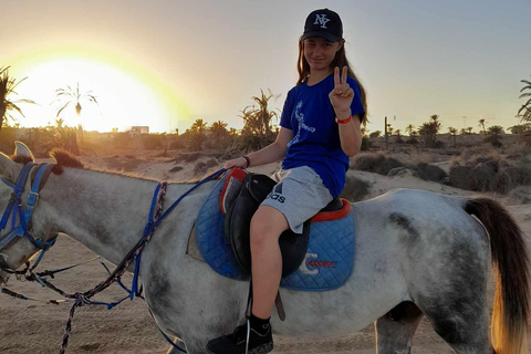 Djerba: Crossing the Lagoon on Horseback at Sunset Djerba: Horseback ride across the lagoon at sunset