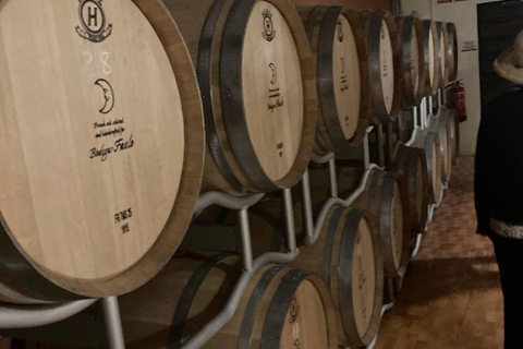 Alicante: Winery Tour with Wine Tasting and Snacks