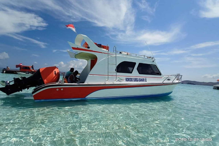 Dagtrip Ontdek Komodo National Park per privé speedboot