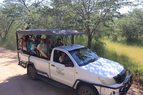 Kasane: Chobe National Park Game Drive and Boat Cruise