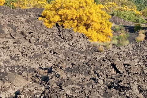 Catania: Mount Etna Sunset Tour and Etna Doc Wine