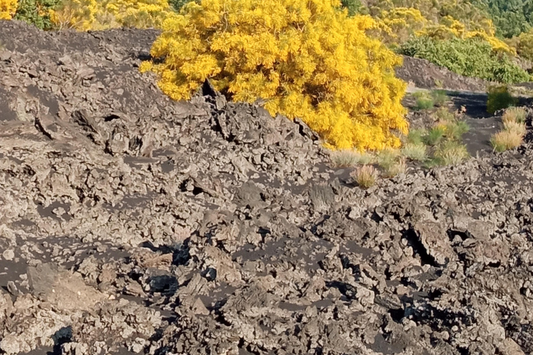 Catania: Mount Etna Sunset Tour and Etna Doc Wine
