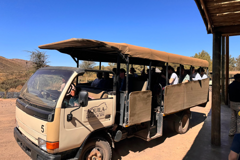 Kaapstad Big 5 Safari-dagtour met ophaalservice vanaf je hotel en GameDriveBeleef een spannende Big-5 safari in Kaapstad