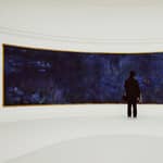 Parigi: biglietto d'ingresso riservato e tour audio del Museo dell'Orangerie