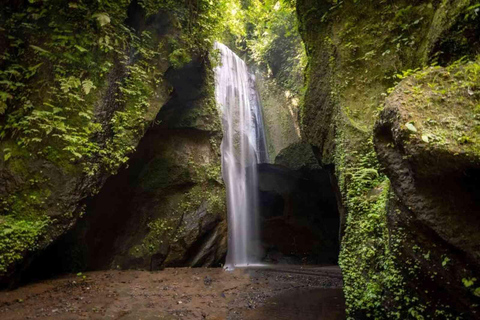 Ubud: tour della foresta delle scimmie, della cascata e delle terrazze di risoEsplorazione: Foresta delle scimmie, cascata e terrazza di riso