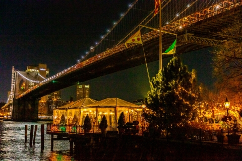 Vanuit Manhattan: bustour kerstlichtjes Dyker Heights, 4 uur