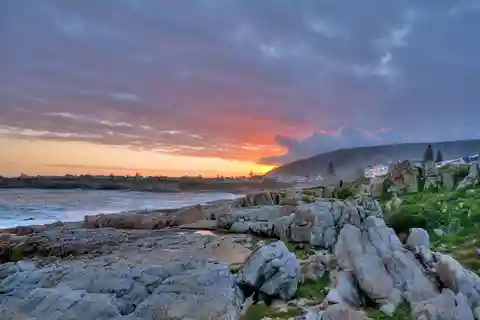 Hermanus: Whale Watching Tour with Scenic Coastal Views