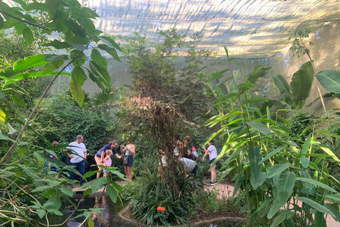 Foz do Iguaçu: Falls, Bird Park, & Three Borders Tour