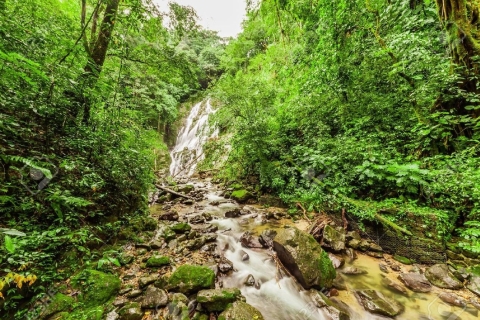Ciudad de Panamá: Aventura extrema en todoterreno por la junglaDesde Ciudad de Panamá: Aventura privada en quad por la selva