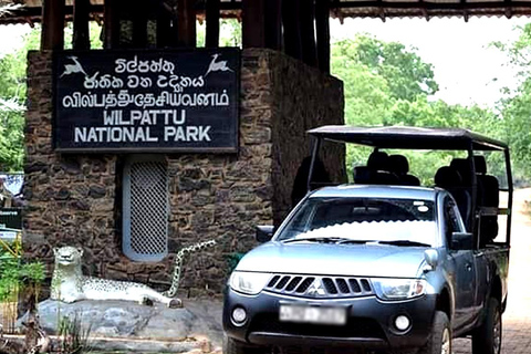 Wilpattu National Park Private Safari Jeep Tour Tour Starting Colombo/Negombo/Kandy Area