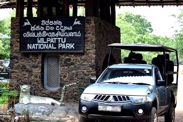 Wilpattu National Park Private Safari Jeep Tour Tour Starting Colombo/Negombo/Kandy Area