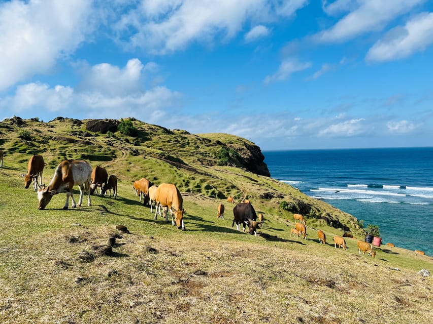 Excursion sur les plages du sud de Lombok et à Merese Hill
