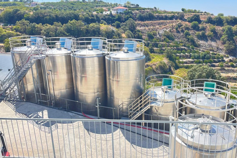 Paphos Hills Wine Tour: Tsangarides, Kolios & Vouni Panayia